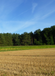 Landwirtschaft und Wald